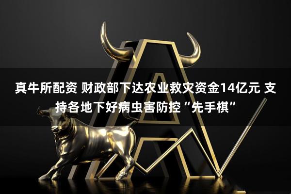 真牛所配资 财政部下达农业救灾资金14亿元 支持各地下好病虫害防控“先手棋”