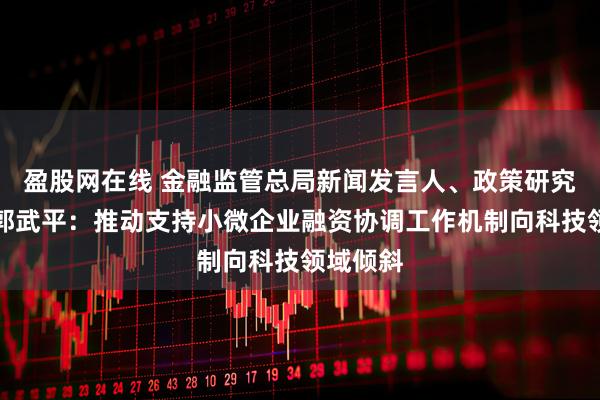 盈股网在线 金融监管总局新闻发言人、政策研究司司长郭武平：推动支持小微企业融资协调工作机制向科技领域倾斜