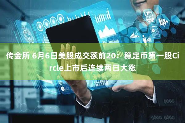 传金所 6月6日美股成交额前20：稳定币第一股Circle上市后连续两日大涨