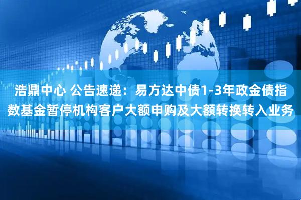 浩鼎中心 公告速递：易方达中债1-3年政金债指数基金暂停机构客户大额申购及大额转换转入业务