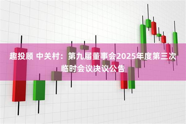 趣投顾 中关村：第九届董事会2025年度第三次临时会议决议公告