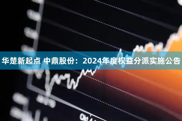 华楚新起点 中鼎股份：2024年度权益分派实施公告