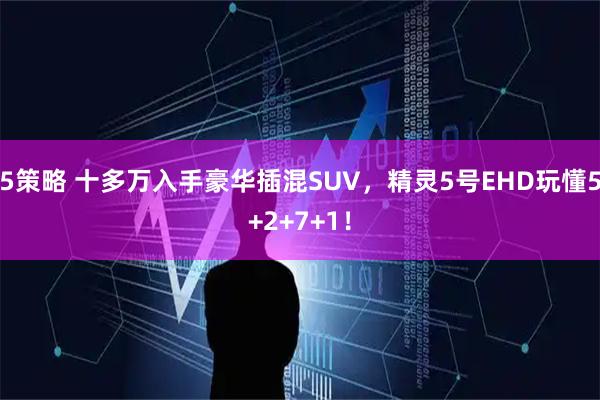5策略 十多万入手豪华插混SUV，精灵5号EHD玩懂5+2+7+1！