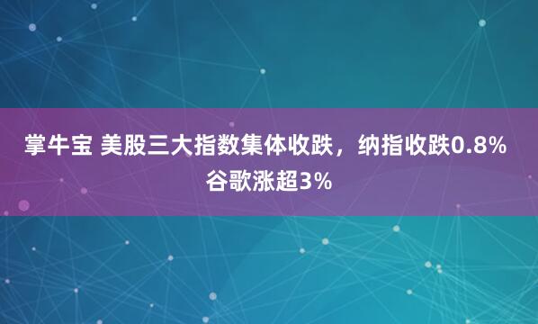 掌牛宝 美股三大指数集体收跌，纳指收跌0.8% 谷歌涨超3%