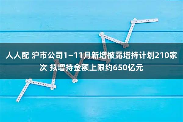 人人配 沪市公司1—11月新增披露增持计划210家次 拟增持金额上限约650亿元